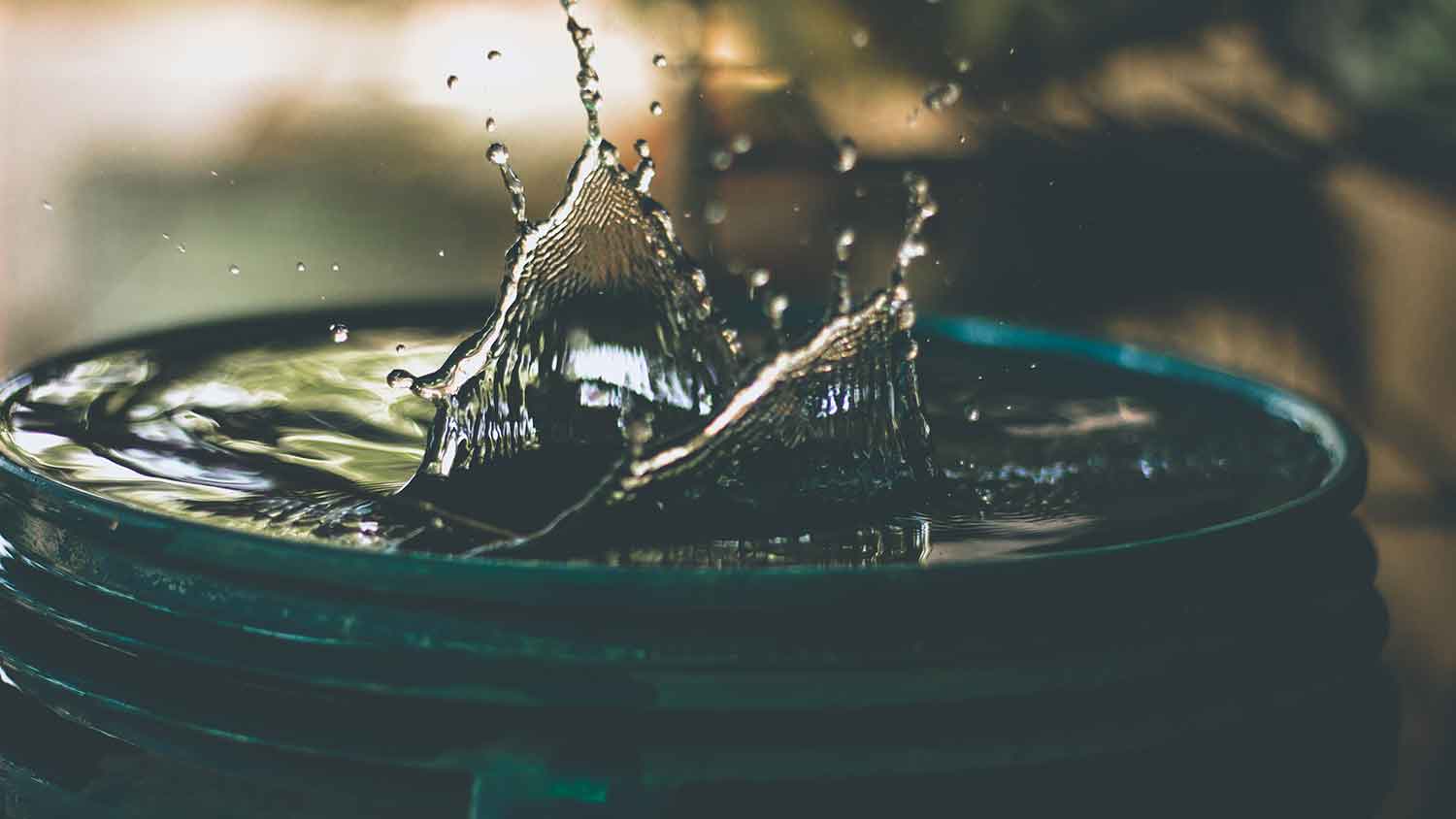 water in a bucket